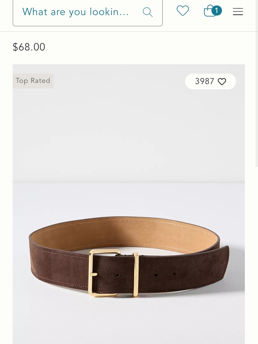 Women's Brown Suede Belt with Gold Buckle - Anthroplogie